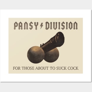 Vintage Pansy Division Posters and Art